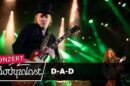 D-A-D live | Rock Hard Festival 2024 | Rockpalast